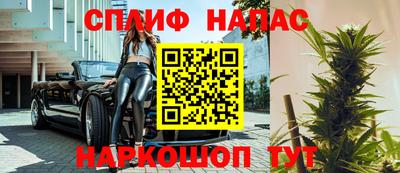 СК Дубна