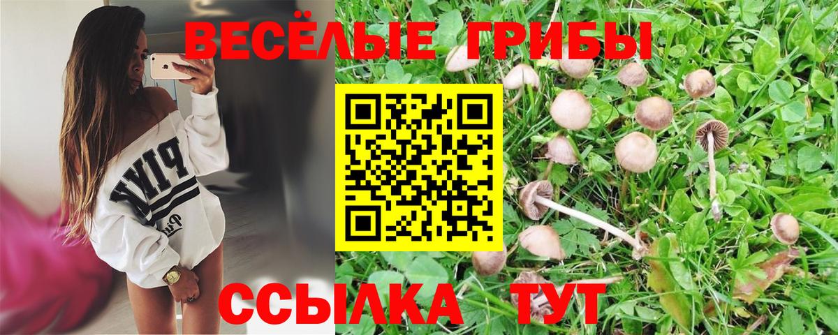 Галлюциногенные грибы мицелий Миллерово
